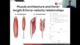 The Calf Complex Rehabilitation & Return to Performance with Colin Griffin