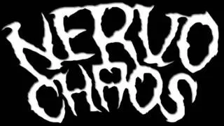 NervoChaos - Liar, Loser