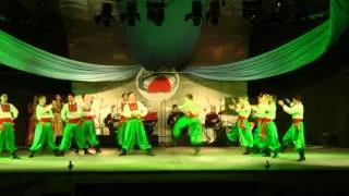 Ukrainian folk dance: Kievskie parni / Киевские парни