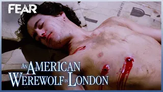 David is Put Down (Final Scene) | An American Werewolf In London