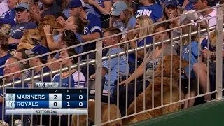 SEA@KC: Royals fans bring their dogs to the ballpark