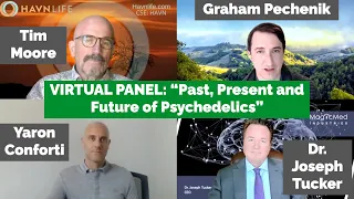 VIRTUAL PANEL: “Past, Present and Future of Psychedelics”