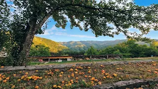 Beauty of the Rhodopes, Bulgaria | Красотата на Родопите