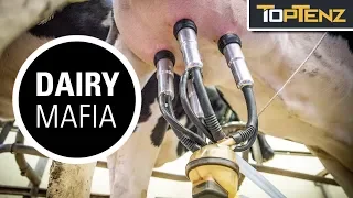 10 Examples of the Dairy Industry Operating Like the Mafia