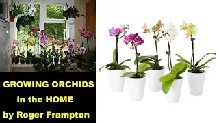My Talk Called 'Looking After Orchids in the Home'