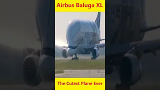The Cutest Plane Ever || Airbus Beluga XL #Shorts #cutestplane
