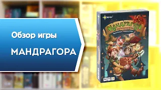 МАНДРАГОРА. Обзор и правила настольной игры от Эврикус