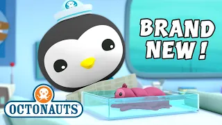 ​@Octonauts - The Snot Sea Cucumber | Full Episode 7 | @OctonautsandFriends