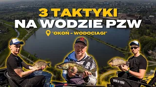 Trzy taktyki na jednym łowisku. Co działa najlepiej na łowisku "Okoń Wodociągi" w Częstochowie?