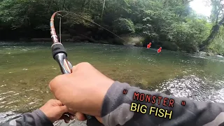 Pemancing manapun pasti panik klw di tarik ikan mahseer sebesar ini..!!