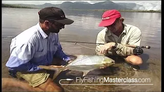 Fly Fishing Hinchinbrook  - Permit On Fly