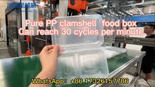Thermoforming machine  produce pure PP clamshell lunch boxes can reach two seconds per mold