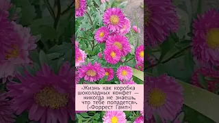 счастье приносит простые вещи!