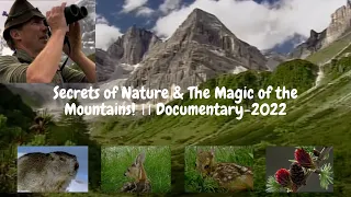 Secrets of Nature & The Magic of the Mountains ।।  Documentary-2022