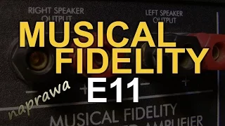 Musical Fidelity E11 [Reduktor Szumu] #141