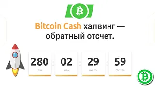 Халвинг Bitcoin Cash приведёт к цене в 1000$ ? - Разбор монеты BCH.