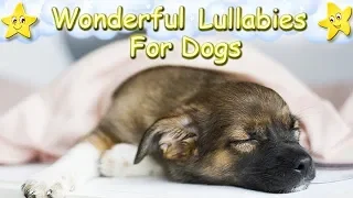 Dog Music Relaxing Sleep Music For Puppies ♫ Calm Relax Your Dog ♥ Lullaby For Pets Animal Music