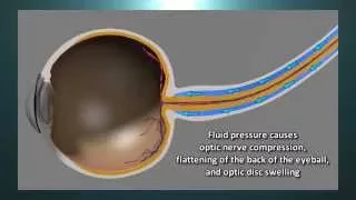 StationLife: Eye-Opening Science