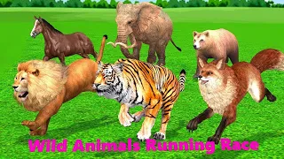 Forest Animals Running Race Game in Forest | Funny Animals Comedy Videos 3D Cartoons