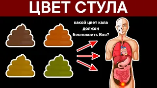 ЦВЕТ СТУЛА. Какой Цвет Кала должен беспокоить Вас?