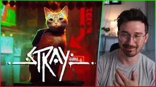 I have the Cutest Cat Ever!   Cute Kitty Gameplay FULL GAME PLAYTHROUGH | Stray Part 1