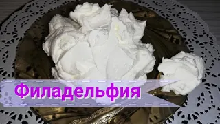 How to Make Cream Cheese at Home