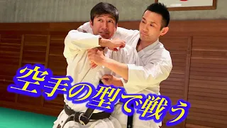 【30minutes】FIGHT WITH HEIAN KATA , PERFECT VERSION (Tatsuya Naka）