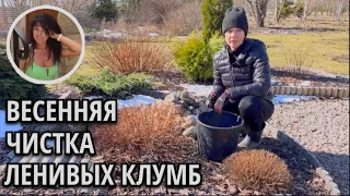 11.04.2023 Минимальный уход ленивых клумб весной. Обрезка хвойных и кустарников.