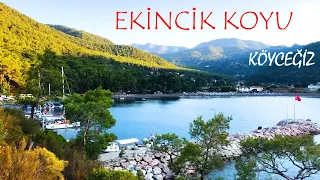 EKİNCİK KOYUNDA NEREDE KAMP YAPILIR, KÖYCEĞİZ, MUĞLA I SALKIM KAMP I MUĞLA KAMP ALANLARI