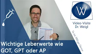 Wichtige Leberwerte erhöht: GOT, GPT, Gamma GT verbessern & senken ⏩ Bedeutung & Ursachen verstehen