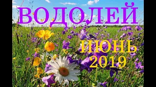 ВОДОЛЕЙ. ТАРО-ПРОГНОЗ на ИЮНЬ 2019 год.