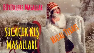 SICACIK KIŞ MASALLARI-Büyüklere Masallar-Sesli Kitap-Masal Dinle-Masallar-Masal-Peri Mia Masalları