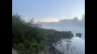 И сазан и Лещ. Рыбалка на закидушки с берега.