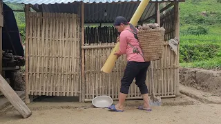 Picking wild vegetables to sell, raising livestock to earn money for children's education