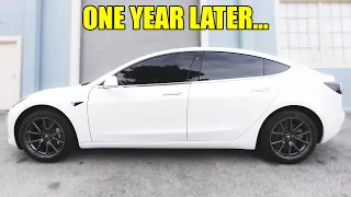 My Tesla Model 3 After 1 Year... (The Truth)