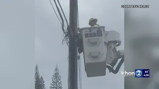 HELCO rescues cat stuck overnight on utility pole in Big Island