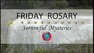 Friday Rosary • Sorrowful Mysteries of the Rosary 💜 May 31, 2024 VIRTUAL ROSARY - MEDITATION