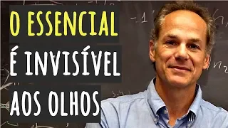 O Essencial é Invisível aos Olhos • MARCELO GLEISER