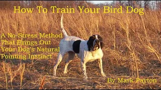 How To Train Your Bird Dog. A No-Stress Method To Bring Out The Dog's Natural Pointing Instinct.