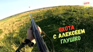 КЛАССИЧЕСКОЕ ОТКРЫТИЕ НА ЗАЙЦА - ОДИН ВЫСТРЕЛ, ОДИН ТРОФЕЙ...