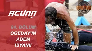 Ogeday'ın Adem isyanı! "Nasıl yeniliyorum ona..." | Bölüm 84 | Survivor 2017