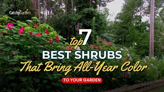 7 Best Shrubs That Bring All Year Color to Your Garden 🌺🌹🌸 // Gardening Ideas