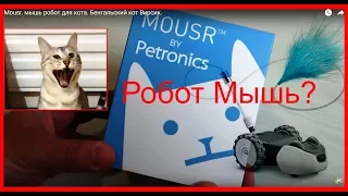 Mousr. мышь робот для кота. Бенгальский кот Вирсик.