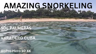 Amazing Snorkeling Off The Beach at SOL PALMERAS RESORT, VARADERO CUBA, GoPro Hero 10 4K