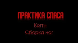 Олег Аристов. Практика Спаса. Когти. Натяги ног.