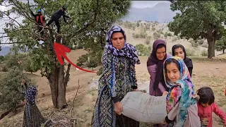 Fariba and children trying to collect wood