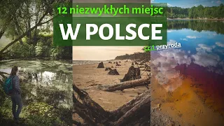 12 NIEZWYKŁYCH i tajemniczych miejsc w Polsce. Ile znasz?