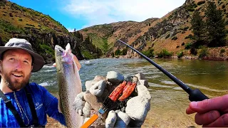 WILD Trout Catch & COOK at Breathtaking River Deep in the Mountains