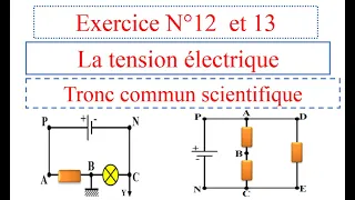 Exercice N° 12 et 13   la tension électrique tronc commun scientifique جدع مشترك علمي