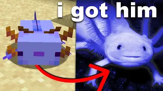 I Bought a Minecraft Axolotl in Real Life